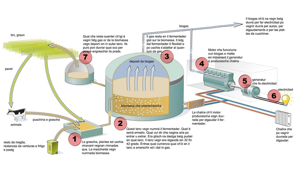 grafica producziun biogas