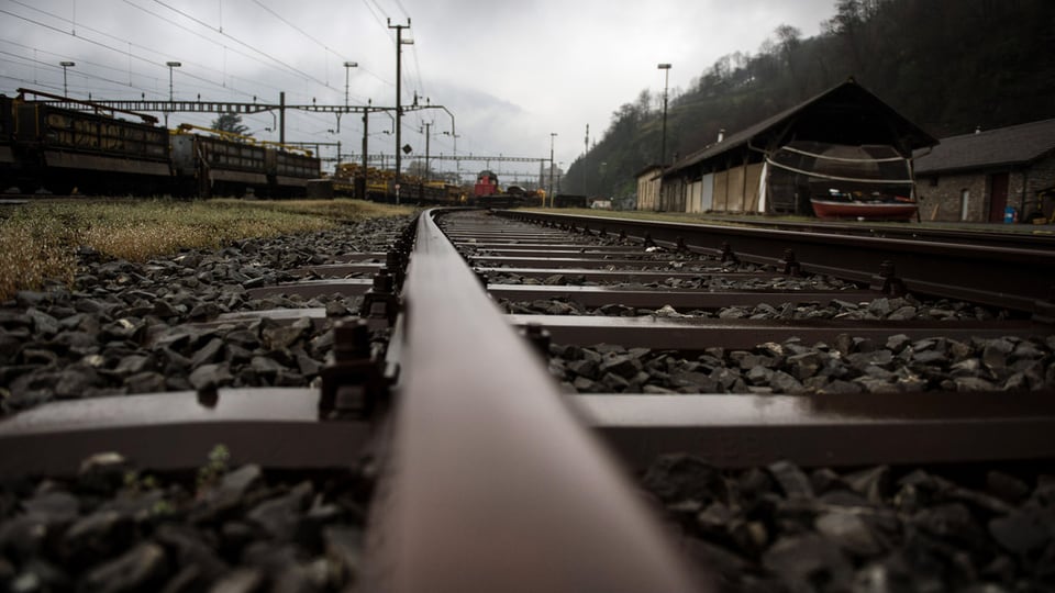 Rodaglias da tren.