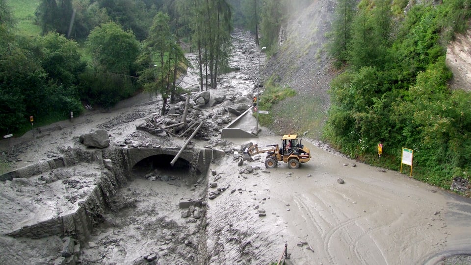 La bova a Scuol la stad 2015. 