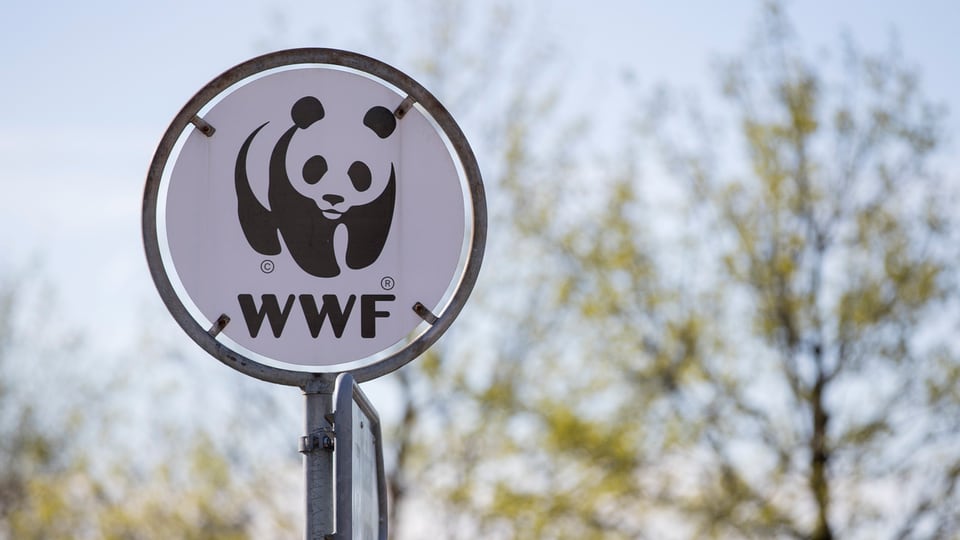 Ina taval cun si il logo dal WWF. 
