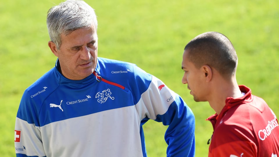 Vladimir Petkovic e Gökhan Inler.