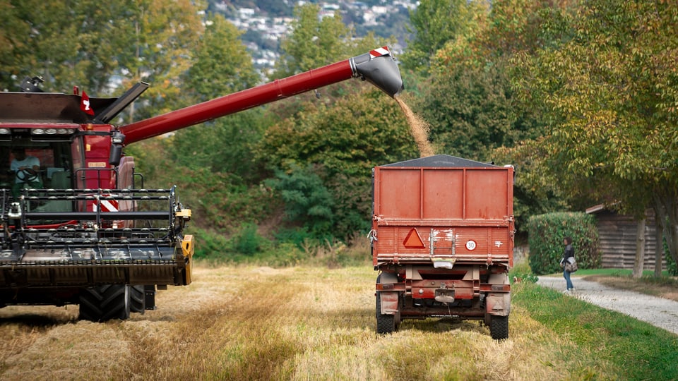 Maschinas d'agricultura.