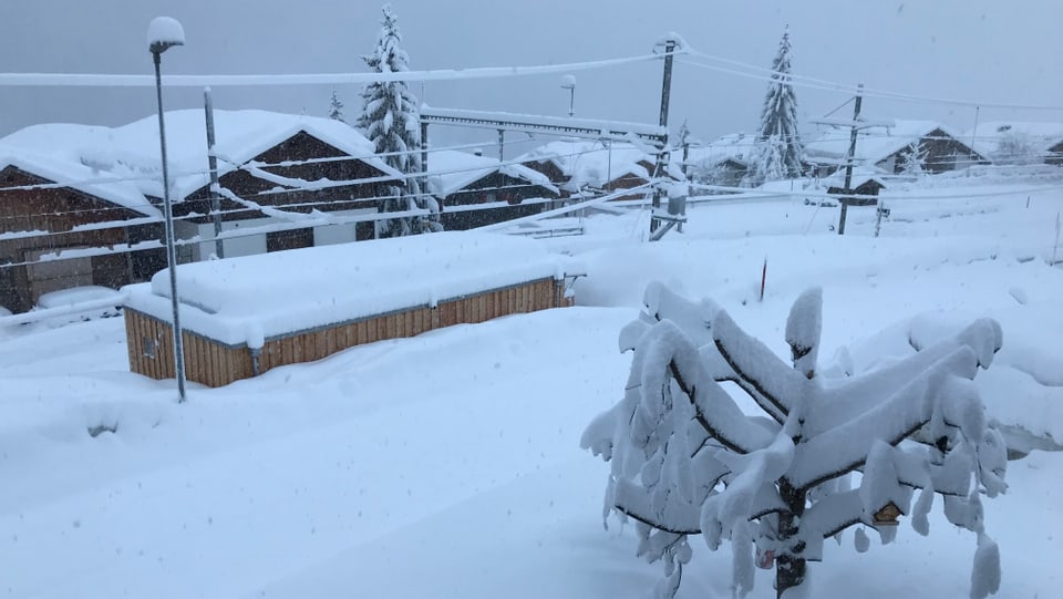 Sedrun sut ina cozza da naiv.
